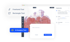 Image for Collaborate point