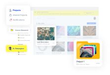 Image for Save point